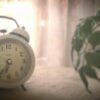 夜中に目が覚めてから結局眠れずに朝になってしまった。。